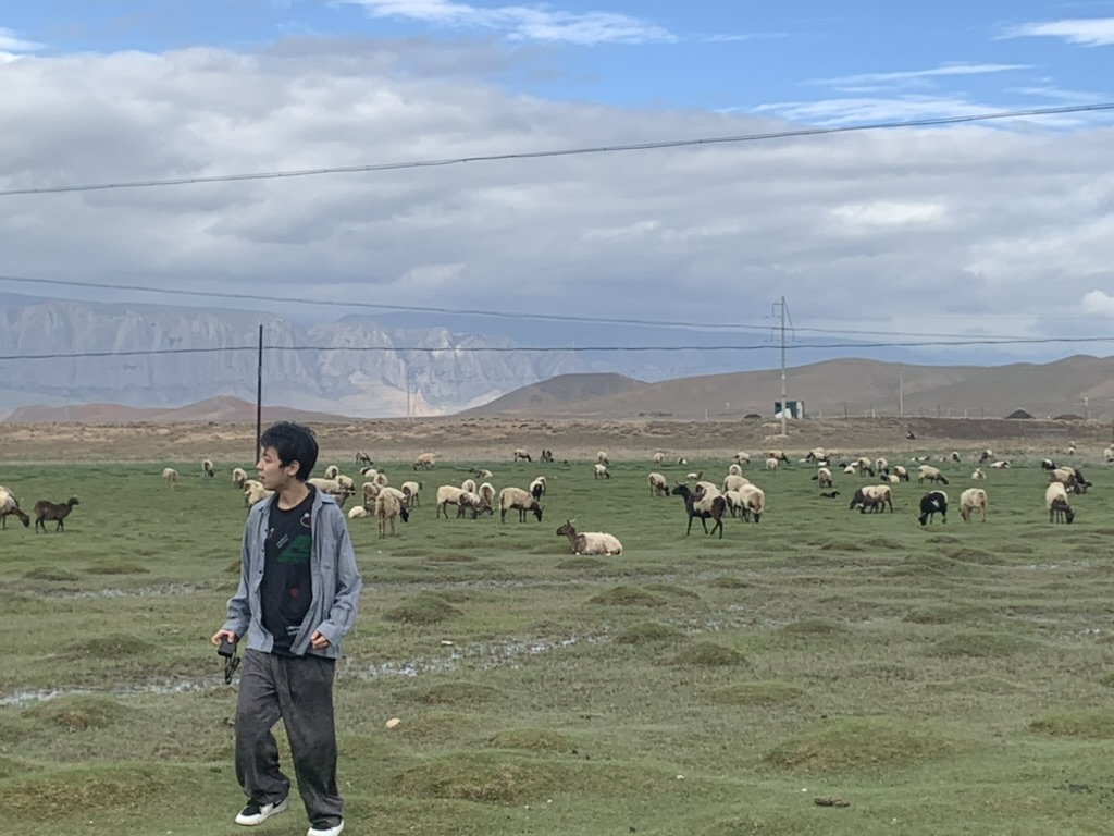 李旭阳站在山野草地和羊群前
